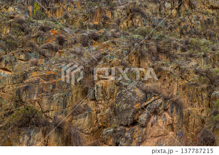Rugged rocks and dry plants on mountainside during daytime 137787215