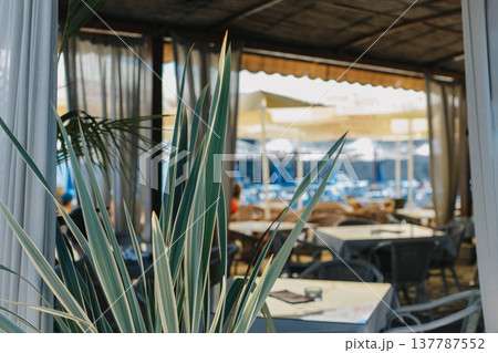 Beach cafe in a summer sunny day near the old town of Budva, Montenegro. Beach cafe in a summer sunny day near the old town of Budva, Montenegro. 137787552