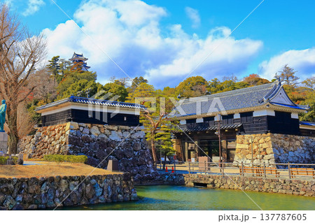 【高知県】冬の高知城（現存天守） 137787605