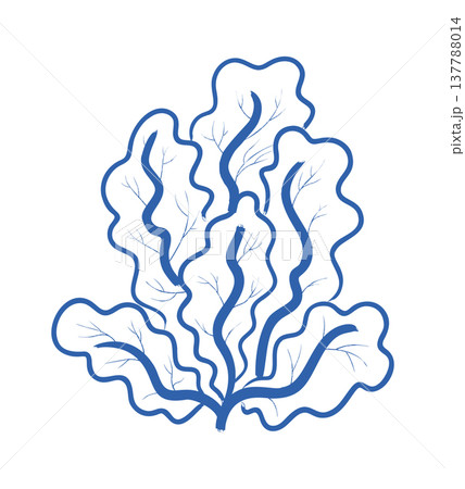 Seaweed Botanical Linework 137788014