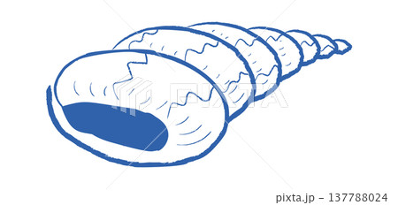 Seashell Spiral Sketch Linework 137788024
