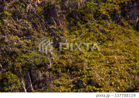 Serene hillside with mossy rocks and grass during daytime in Kyrgyzstan 137788119