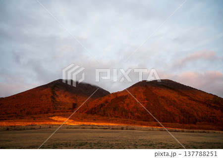 日本の島根県の三瓶山のとても美しい春の風景 137788251