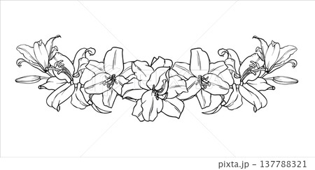 Vector Bouquet of Lilies. Garland of flowers. Flower arrangement drawing in line art style. Botanical sketch Lilies painted by black inks. Hand Drawn Bouquet Graphics element outline of Flower EPS10 Vector Bouquet of Lilies. Garland of flowers. Flower arrangement drawing in line art style. Botanical sketch Lilies painted by black inks. Hand Drawn Bouquet Graphics element outline of Flower EPS10 137788321