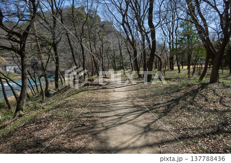 早春の遊歩道　あづま親水公園 137788436