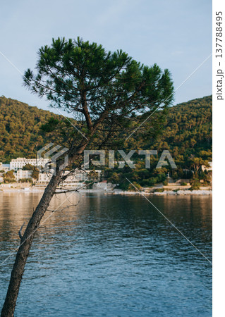 Amazing view of Dubrovnik city, Croatia. Beautiful sunny day. 137788495
