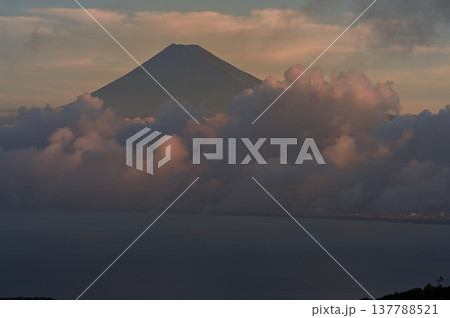 静岡県伊豆市 だるま山高原より 朝焼けの富士山 静岡県伊豆市 だるま山高原より 朝焼けの富士山 137788521