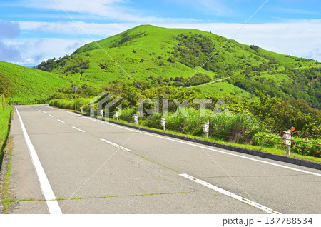 伊豆半島の西伊豆スカイライン 夏の草原風景 達磨山 伊豆半島の西伊豆スカイライン 夏の草原風景 達磨山 137788534