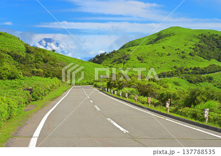 伊豆半島の西伊豆スカイライン 夏の草原風景 達磨山と富士山 伊豆半島の西伊豆スカイライン 夏の草原風景 達磨山と富士山 137788535