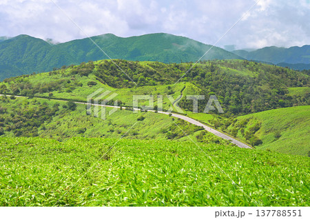 伊豆半島 達磨山より望む夏の伊豆山稜線歩道 左が魂ノ山、右手前が古稀山 伊豆半島 達磨山より望む夏の伊豆山稜線歩道 左が魂ノ山、右手前が古稀山 137788551