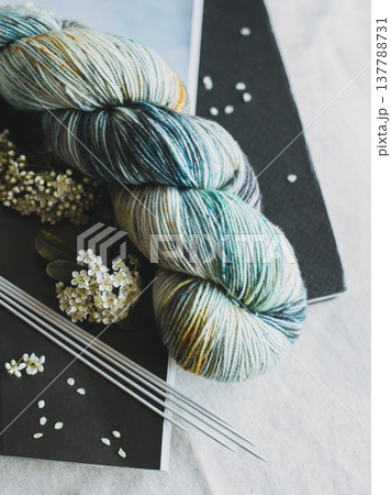 Skein of wool yarn and knitting needles for hand knitting. Concept for handmade. Skein of wool yarn and knitting needles for hand knitting. Concept for handmade. 137788731