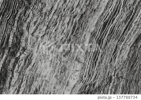 Grey Stone Texture or Background in monochrome. Black and White. Grey Stone Texture or Background in monochrome. Black and White. 137788734