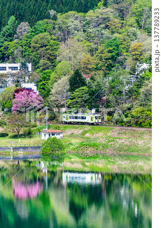 北上線　新緑の第一和賀川橋梁を渡るキハ100 137789233