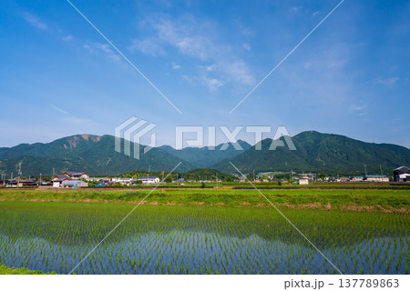 鈴鹿山麓の田園地帯《三重県 四日市市 水沢町》 鈴鹿山麓の田園地帯《三重県 四日市市 水沢町》 137789863