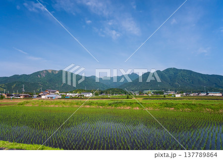 鈴鹿山麓の田園地帯《三重県 四日市市 水沢町》 137789864
