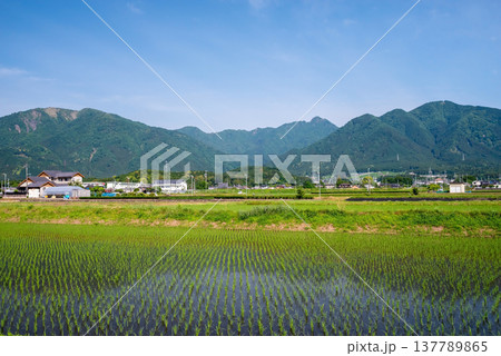 鈴鹿山麓の田園地帯《三重県 四日市市 水沢町》 137789865