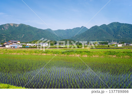 鈴鹿山麓の田園地帯《三重県 四日市市 水沢町》 鈴鹿山麓の田園地帯《三重県 四日市市 水沢町》 137789866