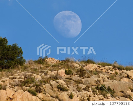 Serene Sky Illuminates Rugged Terrain, Clear Blue Sky Frames Peaceful Wilderness With Shining Rocks Serene Sky Illuminates Rugged Terrain, Clear Blue Sky Frames Peaceful Wilderness With Shining Rocks 137790158