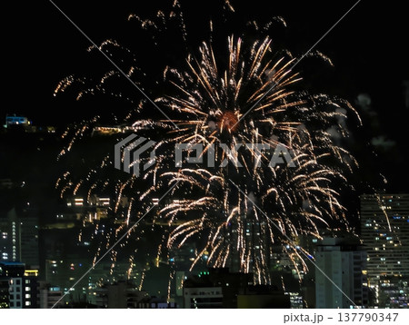 Night Sky Illuminated With Firework Bursts, Colorful Fireworks Light Up Towering City Silhouettes Night Sky Illuminated With Firework Bursts, Colorful Fireworks Light Up Towering City Silhouettes 137790347
