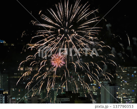 Vivid City Night Celebration Scene, Skyline Illuminated By Vibrant Fireworks And Silhouettes Vivid City Night Celebration Scene, Skyline Illuminated By Vibrant Fireworks And Silhouettes 137790353