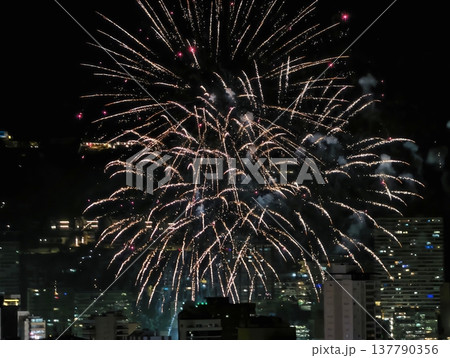 Vivid Fireworks Illuminate Cityscape Festivities, Luminous Bursts Light Up Urban Skyline During Happy Events Vivid Fireworks Illuminate Cityscape Festivities, Luminous Bursts Light Up Urban Skyline During Happy Events 137790356