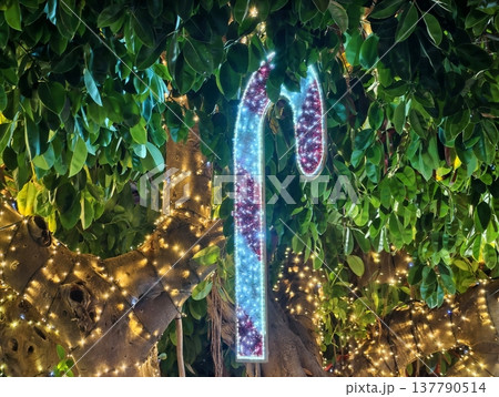 Energetic Urban Scene Featuring Illuminated Seasonal Decorations And Colorful Festive Ambiance 137790514