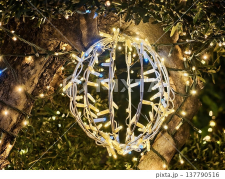 Elegant Garden Glow, Stylish Light Loop Encircling Branch Creates Festive Outdoor Illumination Display 137790516