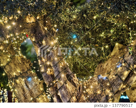 Enchanted Park Ambiance With Elaborate Light Arrangements And Shimmering Decorative Features Enchanted Park Ambiance With Elaborate Light Arrangements And Shimmering Decorative Features 137790517