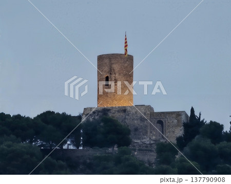 Ancient Tower Scene, Quiet Historical Structure On Wooded Hill Illuminated By Warm Evening Light Ancient Tower Scene, Quiet Historical Structure On Wooded Hill Illuminated By Warm Evening Light 137790908