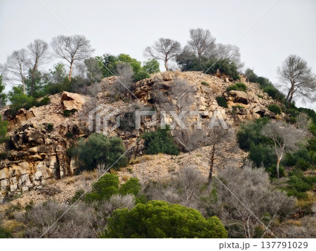 Rugged Hillside Scenery, Transitioning Evening Scene Showcasing Rugged Terrain And Resilient Plant Life 137791029
