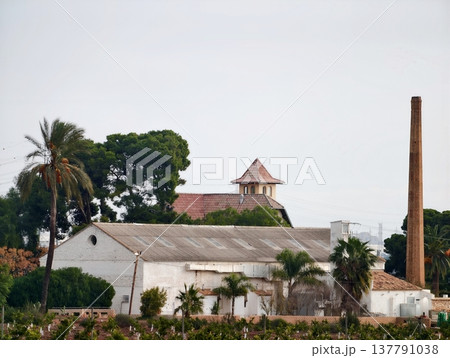 Historic Manor With Palms, Ancient Estate Featuring Silhouettes And Weathered Courtyard Walls Historic Manor With Palms, Ancient Estate Featuring Silhouettes And Weathered Courtyard Walls 137791038