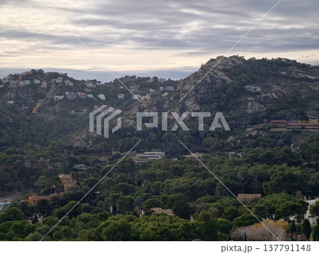 Mountain Dwellings Amid Pine Trees, Summit Dwellings Surrounded By Wild Terrain And Lush Forests Mountain Dwellings Amid Pine Trees, Summit Dwellings Surrounded By Wild Terrain And Lush Forests 137791148
