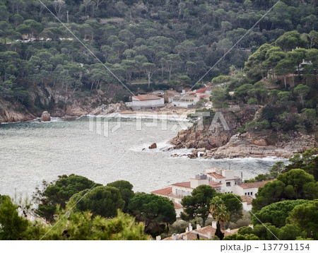 Tranquil Coastal Village Set Within Pine Valleys Featuring Tiered Houses And Lush Green Surroundings 137791154