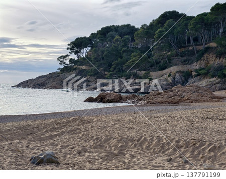 Tranquil Coast With Peaceful Ambiance, Calm Shoreline Beneath Overcast Sky With Natural Elements Tranquil Coast With Peaceful Ambiance, Calm Shoreline Beneath Overcast Sky With Natural Elements 137791199