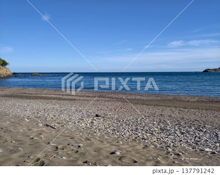 Serene Seashore With Shining Shells, Sunlit Shoreline With Smooth Waves And Scattered Seashells Visible 137791242