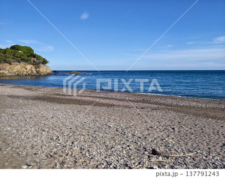 Golden Hour Coastal Cove Bathed In Light, Warm Tones On Rocks, Pine Silhouettes, Calm Sea, Cozy Shoreline 137791243