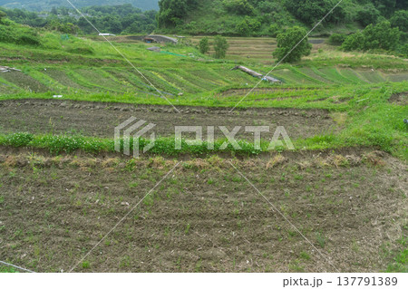 大阪府千早赤阪村下赤阪の田植え前の棚田を撮影 大阪府千早赤阪村下赤阪の田植え前の棚田を撮影 137791389
