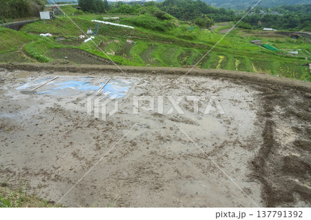 大阪府千早赤阪村下赤阪の田植え前の棚田を撮影 大阪府千早赤阪村下赤阪の田植え前の棚田を撮影 137791392