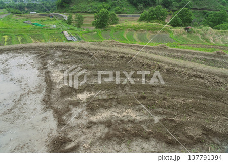 大阪府千早赤阪村下赤阪の田植え前の棚田を撮影 大阪府千早赤阪村下赤阪の田植え前の棚田を撮影 137791394
