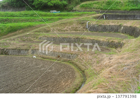 大阪府千早赤阪村下赤阪の田植え前の棚田を撮影 大阪府千早赤阪村下赤阪の田植え前の棚田を撮影 137791398