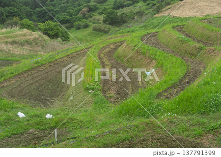 大阪府千早赤阪村下赤阪の田植え前の棚田を撮影 大阪府千早赤阪村下赤阪の田植え前の棚田を撮影 137791399