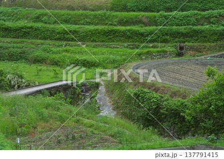 大阪府千早赤阪村下赤阪の田植え前の棚田を撮影 大阪府千早赤阪村下赤阪の田植え前の棚田を撮影 137791415