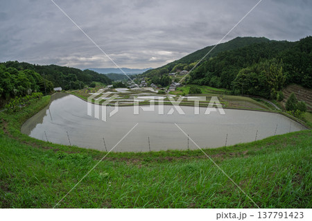 大阪府千早赤阪村下赤阪の田植え前の棚田を撮影 大阪府千早赤阪村下赤阪の田植え前の棚田を撮影 137791423