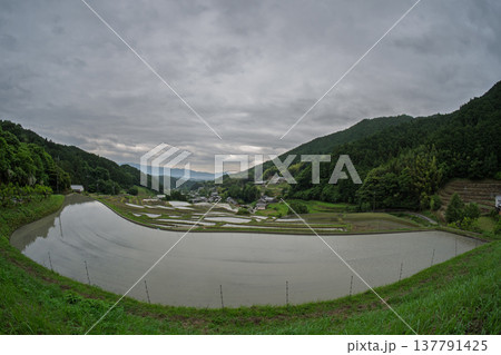 大阪府千早赤阪村下赤阪の田植え前の棚田を撮影 137791425