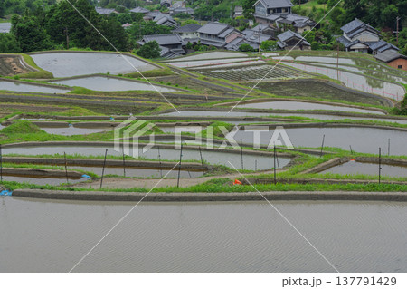 大阪府千早赤阪村下赤阪の田植え前の棚田を撮影 大阪府千早赤阪村下赤阪の田植え前の棚田を撮影 137791429