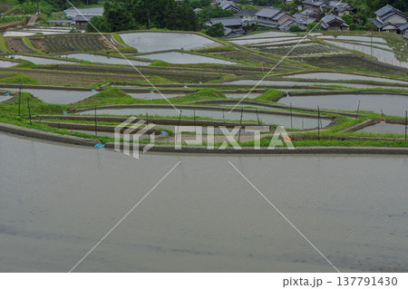 大阪府千早赤阪村下赤阪の田植え前の棚田を撮影 大阪府千早赤阪村下赤阪の田植え前の棚田を撮影 137791430