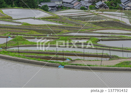 大阪府千早赤阪村下赤阪の田植え前の棚田を撮影 137791432