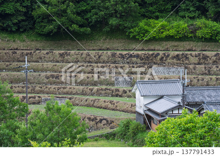 大阪府千早赤阪村下赤阪の田植え前の棚田を撮影 大阪府千早赤阪村下赤阪の田植え前の棚田を撮影 137791433