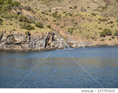 Calm Sea By Peaceful Hills, Quiet Seaside Landscape Featuring Gentle Waves And Lush Vegetation Calm Sea By Peaceful Hills, Quiet Seaside Landscape Featuring Gentle Waves And Lush Vegetation 137791622