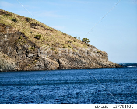 Quiet Natural Vista, Serene Seaside Cliff Scenery, Peaceful Headland With Solitary Tree Overlooking Water Quiet Natural Vista, Serene Seaside Cliff Scenery, Peaceful Headland With Solitary Tree Overlooking Water 137791630